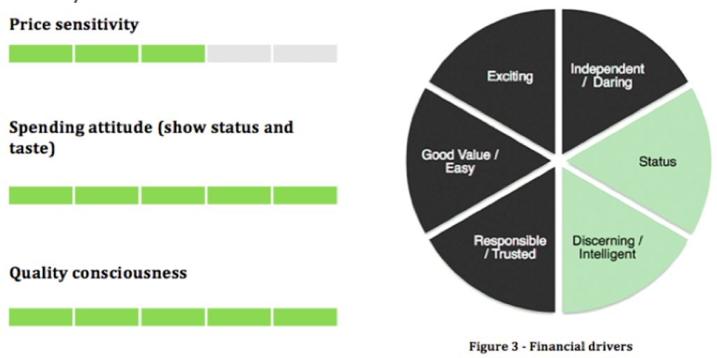 Persona financial drivers